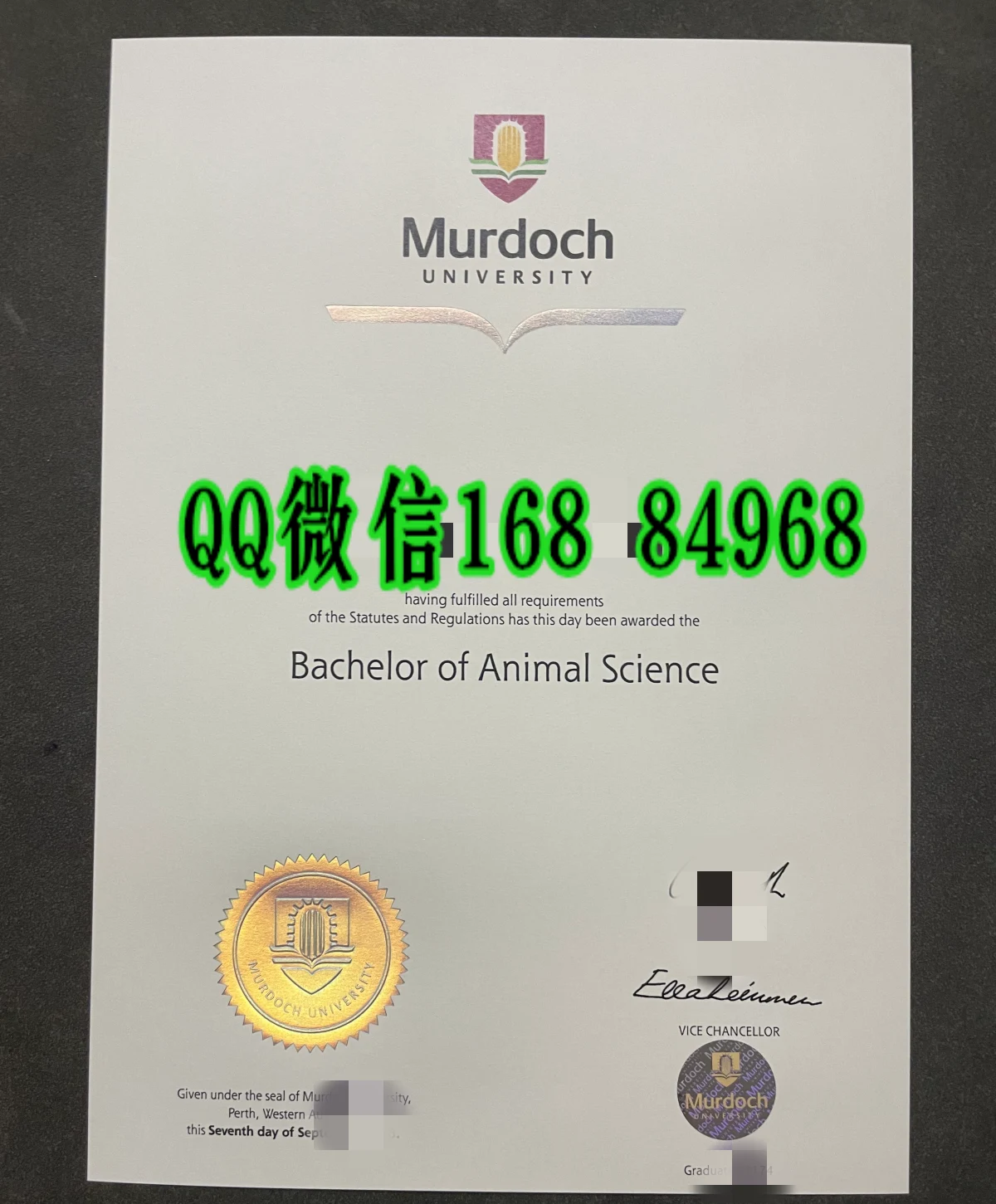 莫道克大学毕业证，Murdoch University testamur，莫道克大学学位证，莫道克大学毕业证补办，莫道克大学学历认证，西澳莫道克大学证书